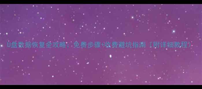 图片 U盘数据恢复全攻略：免费步骤+收费避坑指南（附详细教程）