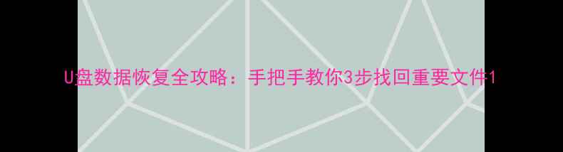 图片 U盘数据恢复全攻略：手把手教你3步找回重要文件1