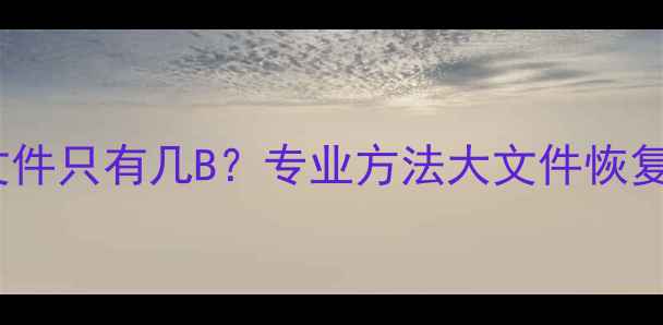 图片 U盘数据恢复后文件只有几B？专业方法大文件恢复技巧与注意事项