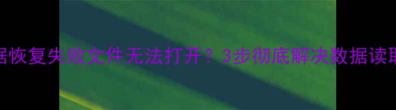 图片 U盘数据恢复失败文件无法打开？3步彻底解决数据读取难题1