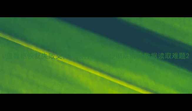 图片 U盘数据恢复失败文件无法打开？3步彻底解决数据读取难题2