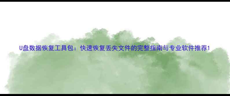 图片 U盘数据恢复工具包：快速恢复丢失文件的完整指南与专业软件推荐1