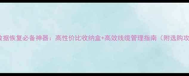 图片 U盘数据恢复必备神器：高性价比收纳盒+高效线缆管理指南（附选购攻略）