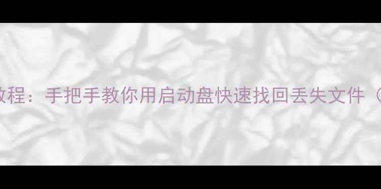 U盘数据恢复教程手把手教你用启动盘快速找回丢失文件附免费软件