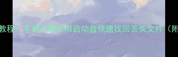 图片 U盘数据恢复教程：手把手教你用启动盘快速找回丢失文件（附免费软件）2