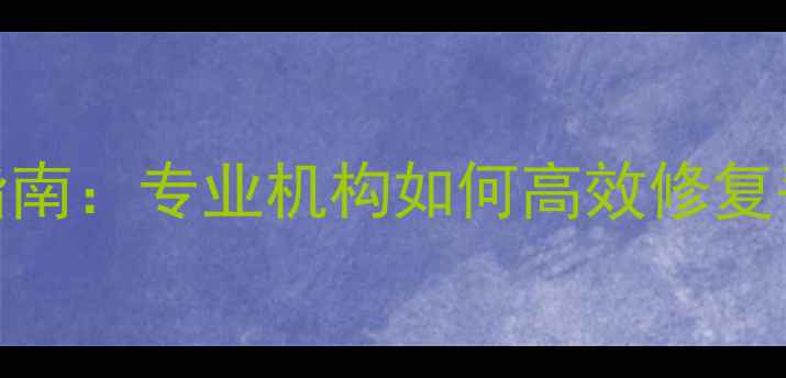 U盘数据恢复权威指南专业机构如何高效修复丢失文件与分区表