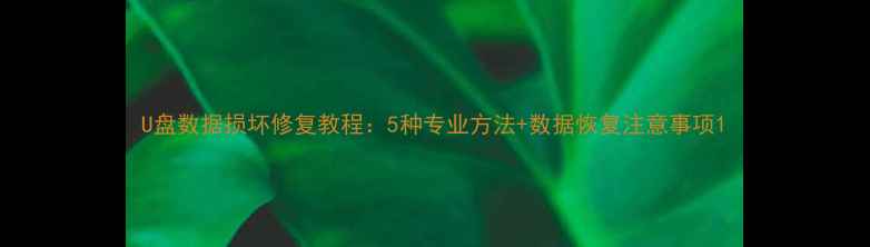 U盘数据损坏修复教程5种专业方法数据恢复注意事项