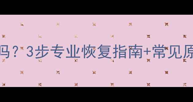 图片 U盘数据损坏能恢复吗？3步专业恢复指南+常见原因（附工具推荐）1