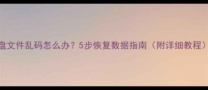 图片 U盘文件乱码怎么办？5步恢复数据指南（附详细教程）1
