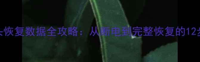 U盘断头恢复数据全攻略从断电到完整恢复的12步指南