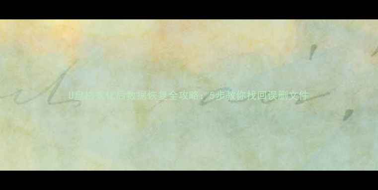 图片 U盘格式化后数据恢复全攻略：5步教你找回误删文件