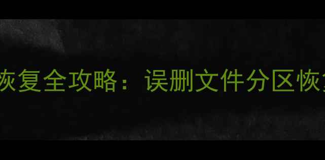 图片 U盘格式化后数据恢复全攻略：误删文件分区恢复技巧+工具推荐1