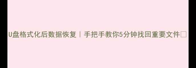 图片 U盘格式化后数据恢复｜手把手教你5分钟找回重要文件🔥