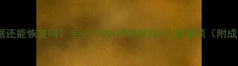 U盘烧毁数据还能恢复吗专业方法修复教程注意事项附成功率数据