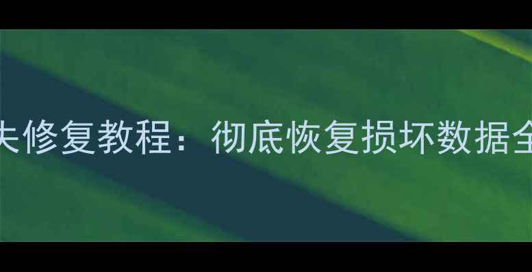U盘照片丢失修复教程彻底恢复损坏数据全流程指南