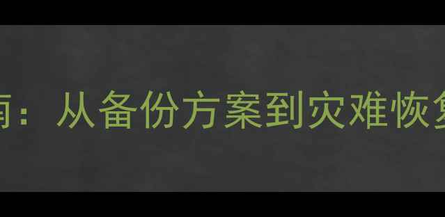 图片 VMware数据恢复全流程指南：从备份方案到灾难恢复实战（附详细操作步骤）