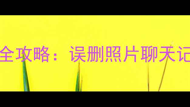 图片 VivoX19手机数据恢复全攻略：误删照片聊天记录文件快速找回教程2