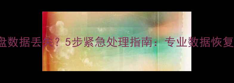 WDMyPassport硬盘数据丢失5步紧急处理指南专业数据恢复步骤与工具推荐