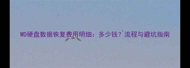 图片 WD硬盘数据恢复费用明细：多少钱？流程与避坑指南