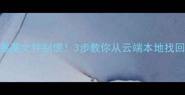图片 WPS删除恢复终极指南误删重要文件别慌！3步教你从云端本地找回被删资料（附工具测评）2