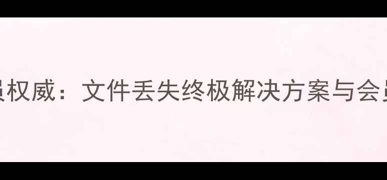 图片 WPS数据恢复会员权威：文件丢失终极解决方案与会员服务深度测评1