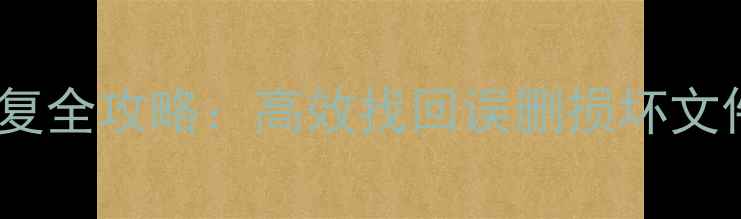 WPS文档数据恢复全攻略高效找回误删损坏文件的方法与技巧