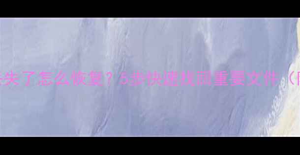 WPS表格数据丢失了怎么恢复5步快速找回重要文件附详细教程