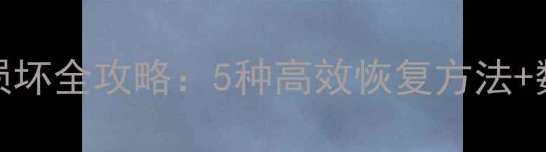 图片 WPS表格文件损坏全攻略：5种高效恢复方法+数据保护指南2