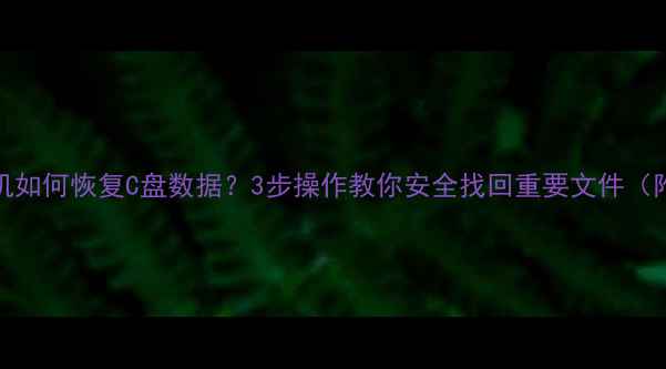 图片 Win10无法开机如何恢复C盘数据？3步操作教你安全找回重要文件（附详细教程）1