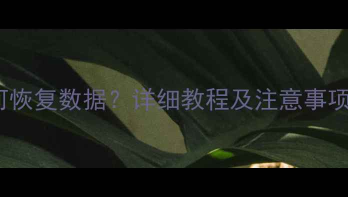 图片 Win10系统重置后如何恢复数据？详细教程及注意事项（附专业工具推荐）