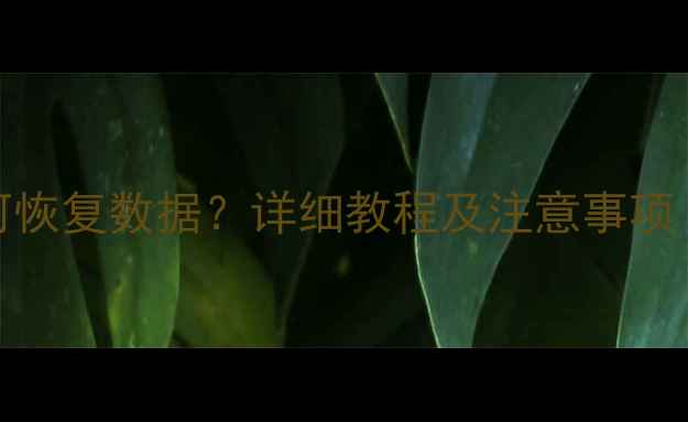 图片 Win10系统重置后如何恢复数据？详细教程及注意事项（附专业工具推荐）1