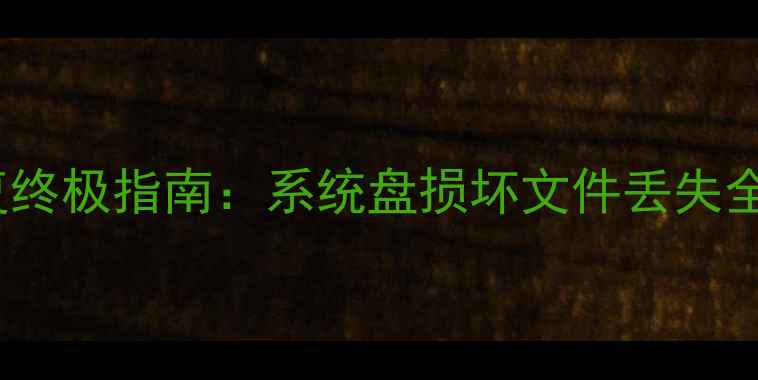 图片 WinHex中文版数据恢复终极指南：系统盘损坏文件丢失全攻略（附修复教程）1