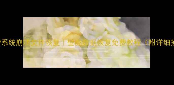 WindowsXP系统崩溃文件恢复壁虎数据恢复免费教程附详细操作指南