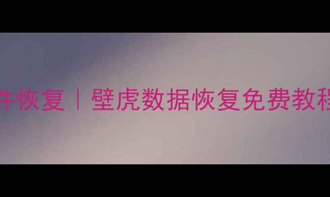 图片 WindowsXP系统崩溃文件恢复｜壁虎数据恢复免费教程（附详细操作指南）2