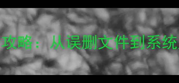 Winser2003数据库恢复全攻略从误删文件到系统崩溃的6种数据拯救方案