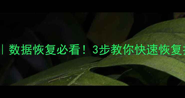 图片 Word文档修复教程｜数据恢复必看！3步教你快速恢复打不开的Word文件2