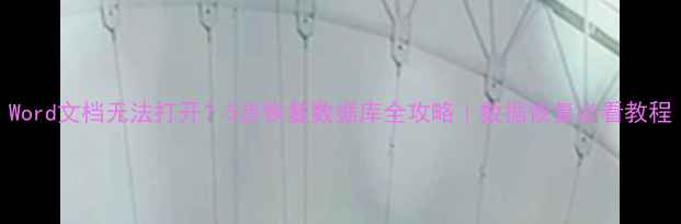 图片 Word文档无法打开？5步恢复数据库全攻略｜数据恢复必看教程