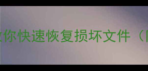 图片 Word文档突然无法打开？5分钟教你快速恢复损坏文件（附实操教程）｜数据恢复全攻略2