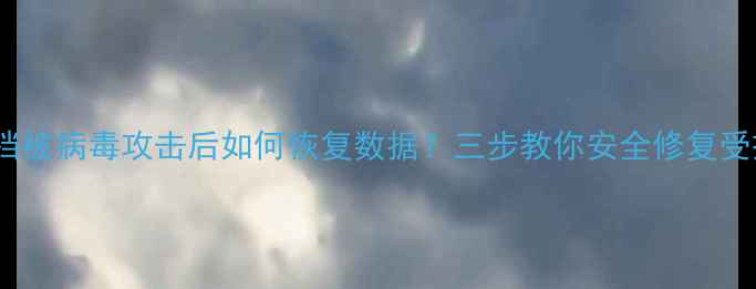 Word文档被病毒攻击后如何恢复数据三步教你安全修复受损文档