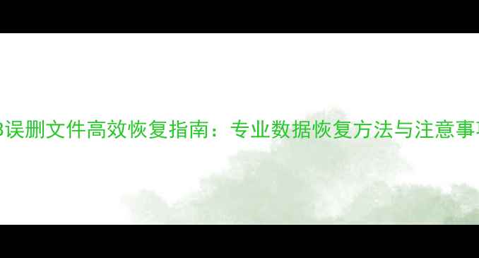XLB误删文件高效恢复指南专业数据恢复方法与注意事项