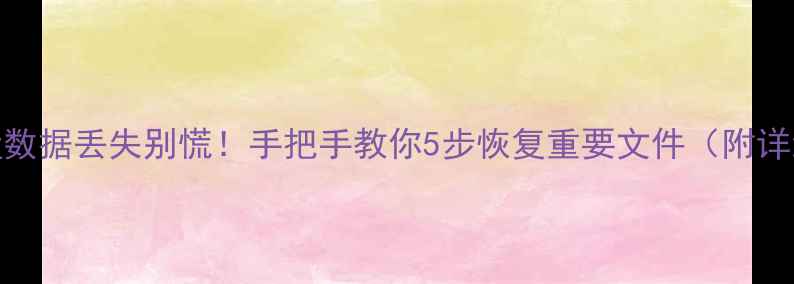 XP系统D盘数据丢失别慌手把手教你5步恢复重要文件附详细教程