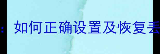 dir恢复数据全流程教程如何正确设置及恢复丢失文件附详细步骤