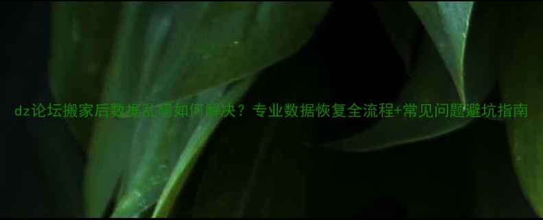 dz论坛搬家后数据乱码如何解决专业数据恢复全流程常见问题避坑指南