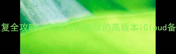 图片 iOS161718数据恢复全攻略：如何找回删除的高版本iCloud备份与本地文件？2