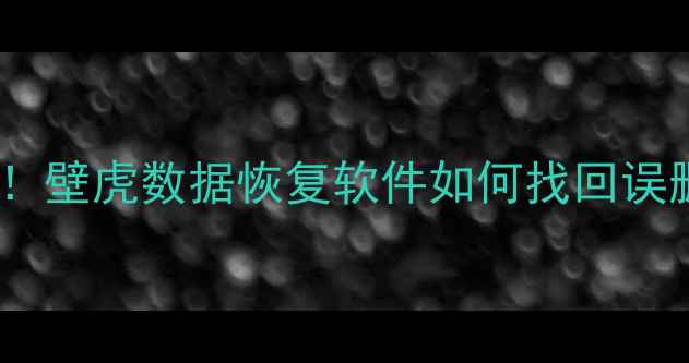 iOS数据恢复终极指南壁虎数据恢复软件如何找回误删照片微信聊天记录