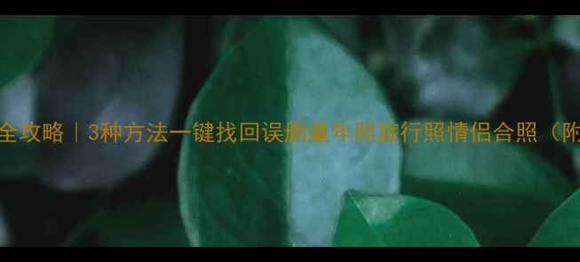 图片 iOS照片恢复全攻略｜3种方法一键找回误删童年照旅行照情侣合照（附避坑指南）2