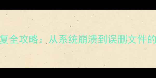 图片 iPadPro数据恢复全攻略：从系统崩溃到误删文件的高效解决方案1