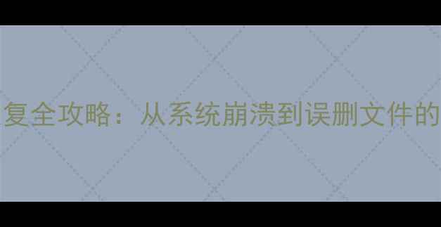 图片 iPadPro数据恢复全攻略：从系统崩溃到误删文件的高效解决方案2