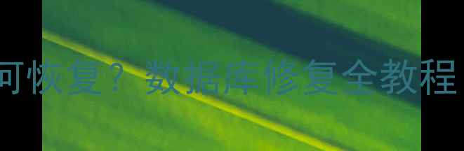 图片 iPad删除照片如何恢复？数据库修复全教程（附操作步骤）1