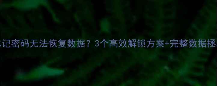 图片 iPad忘记密码无法恢复数据？3个高效解锁方案+完整数据拯救指南